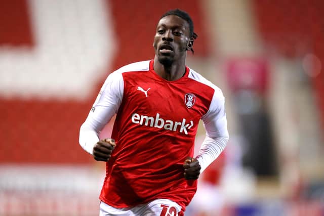 Rotherham United's Freddie Ladapo. (Photo by George Wood/Getty Images)