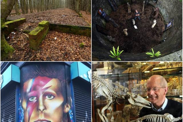 Here are eight hidden gems and lesser-known attractions in Sheffield in celebration of World Tourism Day 2021.