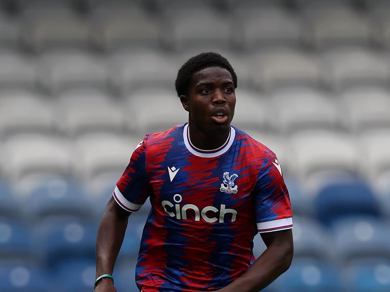 A Crystal Palace academy product, the versatile defender has been hampered by injury in recent years. Undoubtedly a talented player when fit, he hasn't played since April 2024, when he completed 60 minutes in a under-21 match for Palace as part of his ongoing recovery. A low-risk, high-reward option if he could overcome his fitness problems.