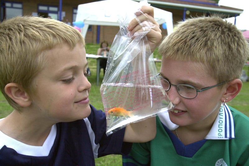 Pictured at the 2001 Hillsborough Hawks gala  are Jared Clapham and Mark Hodgkinson with their prize goldfish