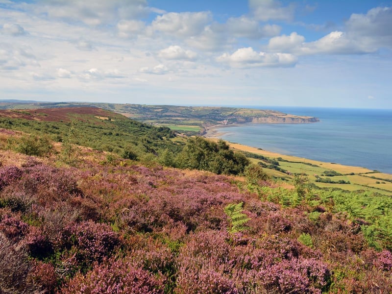 Known as "the town that never was," Ravenscar offers dramatic, elevated coastal views. It is home to a resident colony of grey seals that can often be spotted from the cliffs, particularly during the winter months. 🕒 ~1 hour 40 mins