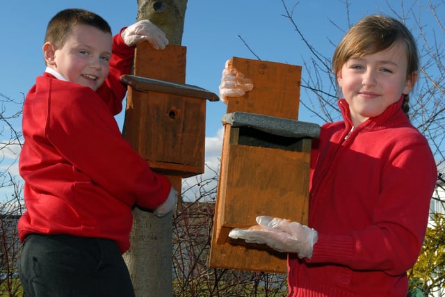Were you pictured making bird and bat boxes ten years ago?