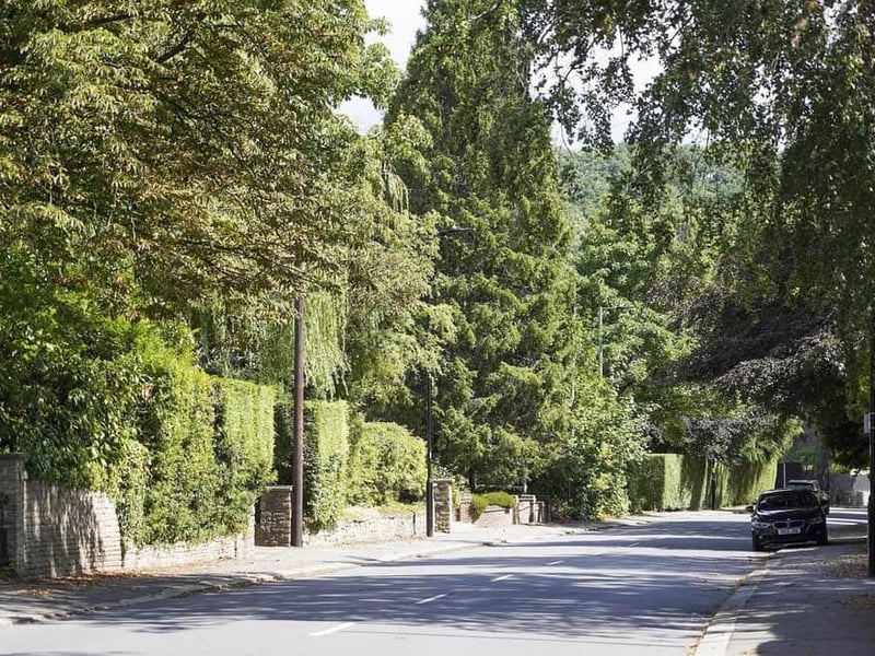 Dore is known as one of the "poshest" neighbourhoods in the city, and is certainly a desirable area to live. (Image: Scott Merrylees)