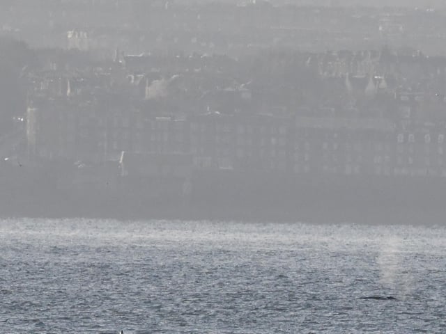 If you're going to put on a show, it might as well be in front of Scotland's capital.