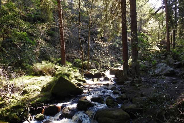 Wyming Brook, managed by the Sheffield & Rotherham Wildlife Trust, is a protected nature reserve. It was once set aside for the exclusive use of the nobility when it was part of the hunting and hawking grounds of Rivelin Chase.