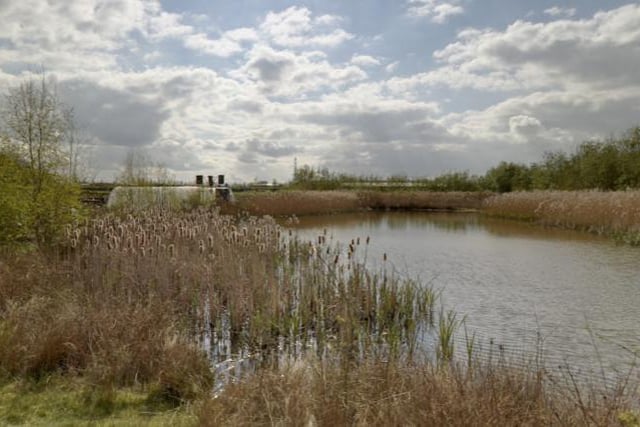 The reserve in Retford is one largest sites for nature conservation in the East Midlands. There are four walking routes you can look forward to exploring.