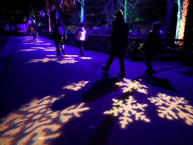 Members of the public walk through snowflakes projected onto paths at the launch of Edinburgh Zoo's Christmas Nights.