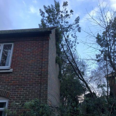 Storm Bella brought down a tree at a home in Wickham
