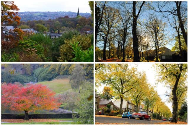 We've created a list of nine walks in Sheffield to enjoy this autumn