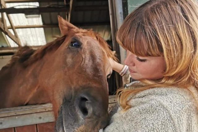 Humphrey the horse has enjoyed cuddles with owner Darcie Binsley.