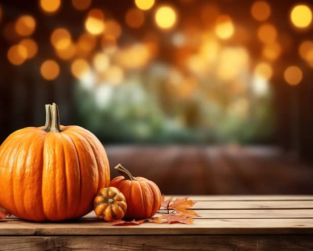 There are around 13 million pumpkins that end up in the bin after Halloween every year