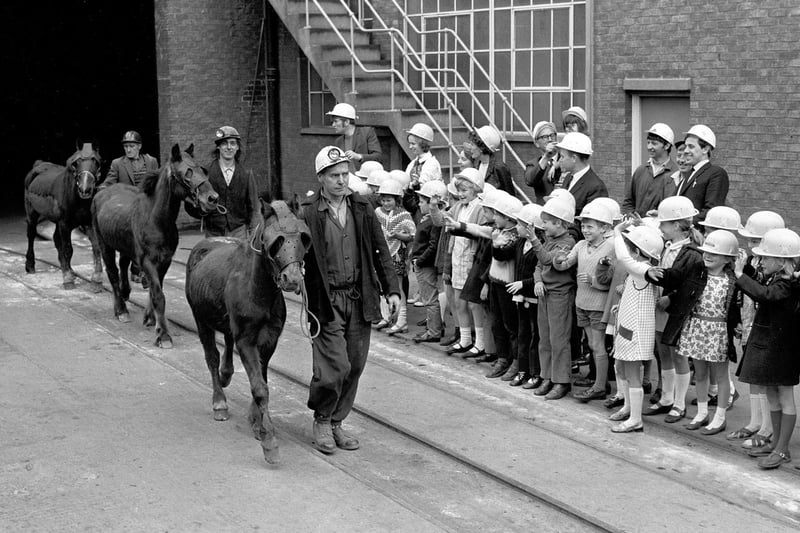 Turk, Prince and Mettle retire from Shirebrook Colliery in June 1971.Turk and Mettle had spent 17 of their 22 years working down the mine, while 10-year-old Prince worked underground for four years.