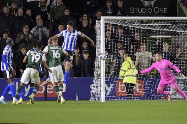 Sam Cosgrove nodded home the winner for Plymouth Argyle against Sheffield Wednesday on Tuesday.