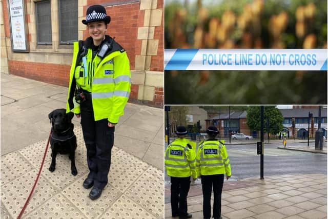 A drug dog was used in a police operation in Sheffield city centre