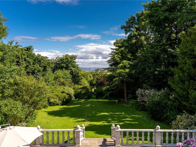 Garden.