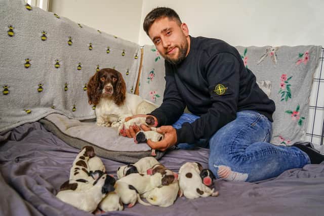 Lola gave birth to 14 puppies, when her owner, Brad, was only expecting six or seven.