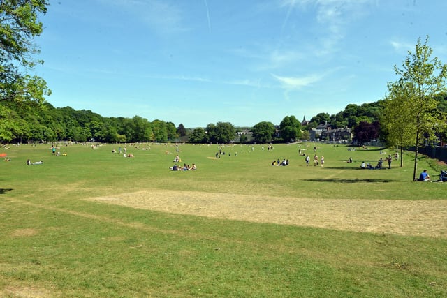 Sheffield parks over a week into easing of the lockdown rules. Endcliffe park.