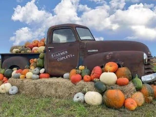 Farmer Copleys