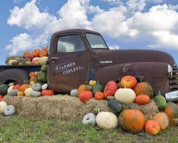 Farmer Copleys