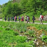 Discover more about the Peak District on a guided walk with a National Park ranger