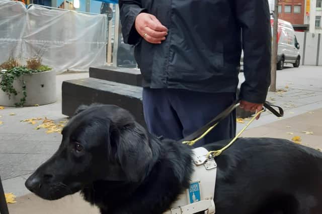 Lord Blunkett with guide dog Barley in Sheffield city centre.
