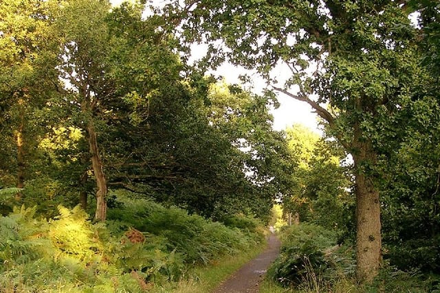 One of the oldest woodlands in the city that goes back to at least 1795 with the route of the Antonine Wall to the north.