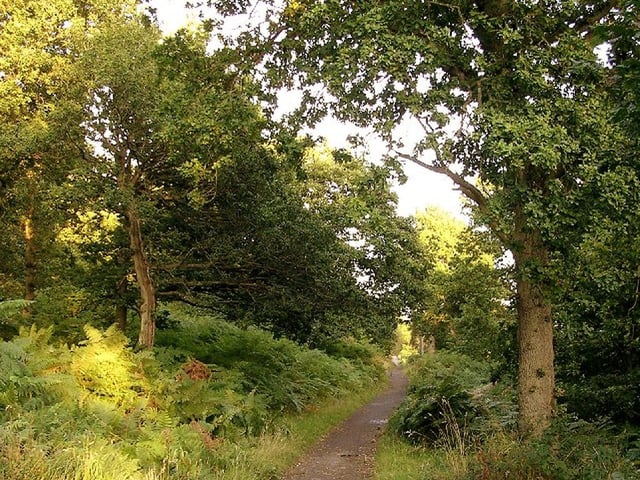 One of the oldest woodlands in the city that goes back to at least 1795 with the route of the Antonine Wall to the north.