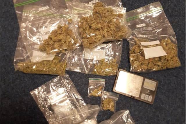 Cannabis found hidden in woodland in Darnall, Sheffield