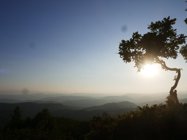 The hills of south central Albania.