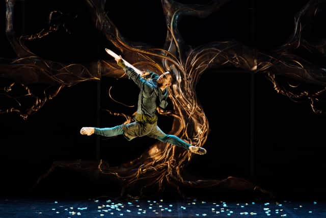 New Northern Ballet show Merlin, which is at Sheffield Lyceum Theatre until Saturday, November 6