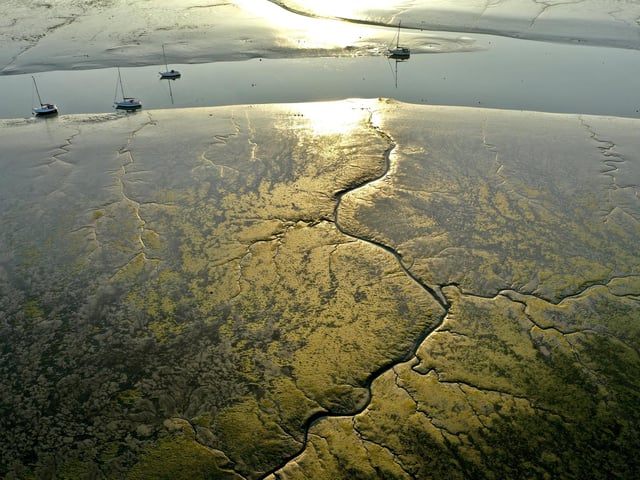Wow...mudflats looking like veins, rich colour