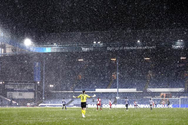 Sheffield Wednesday's pitch is being worked on by the club's ground staff. (Photo by Alex Pantling/Getty Images)