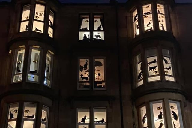 A building in Battlefield Avenue, Glasgow, lit up with silhouettes of cats prowling across each window. The area in Glasgow has taken part in a Window Wanderland event with many residents taking part and decorating their houses for Halloween.