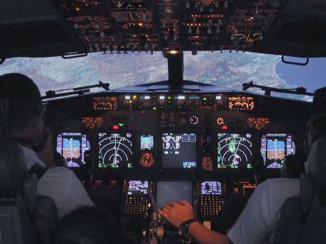 Downfall: The Case Against Boeing focuses on the investigation into the two Boeing 737 MAX crashes that killed 346 people, exploring both the root causes and the human cost.