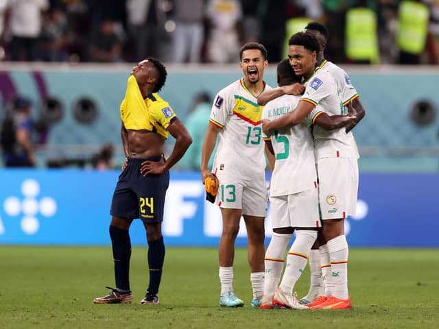 DOHA, QATAR - NOVEMBER 29: Iliman Ndiaye of Senegal celebrates with teammates after their sides victory during the FIFA World Cup Qatar 2022 Group A match between Ecuador and Senegal at Khalifa International Stadium on November 29, 2022 in Doha, Qatar. (Photo by Ryan Pierse/Getty Images)