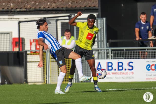 Sheffield Wednesday new boy Reece James is one of many who has impressed in pre-season. Credit: Harrogate Town FC