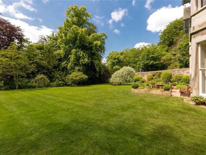 Garden.