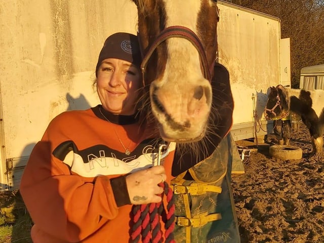 Apollo the horse is 27 years old. Shared by Toni Garrad.