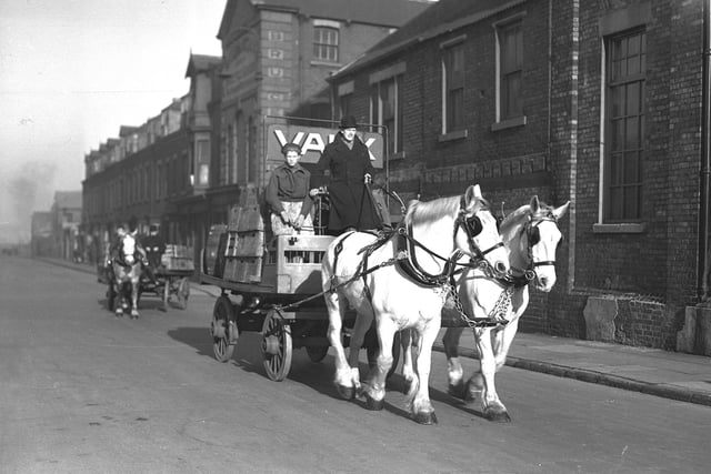 Vaux Horses on the streets of Sunderland. Do you remember them?