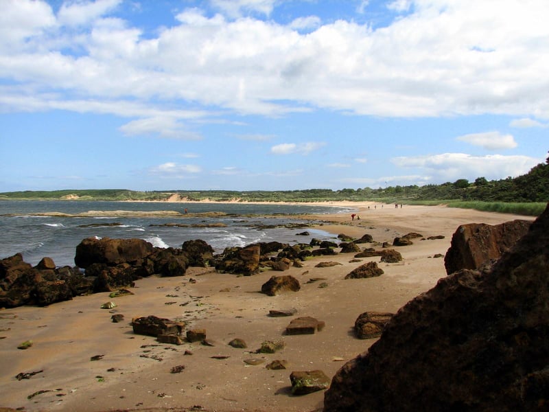 The golden crescent of Gullane Bents has epic views over the Firth of Forth. Its shaggy fringe of dunes and sea buckthorn also shelters a wealth of wildlife, including seabirds and roe deer.