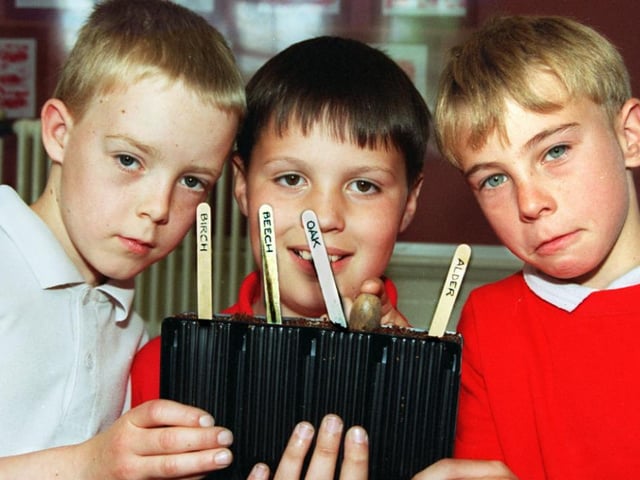 Adwick Park Junior school pupils Matthew Dodds, Christopher Bennett and Sean Tait all ten planted trees back in 1997