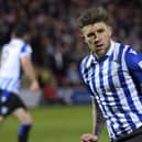Sheffield Wednesday forward Josh Windass is the subject of interest from Argentina, The Star understands.