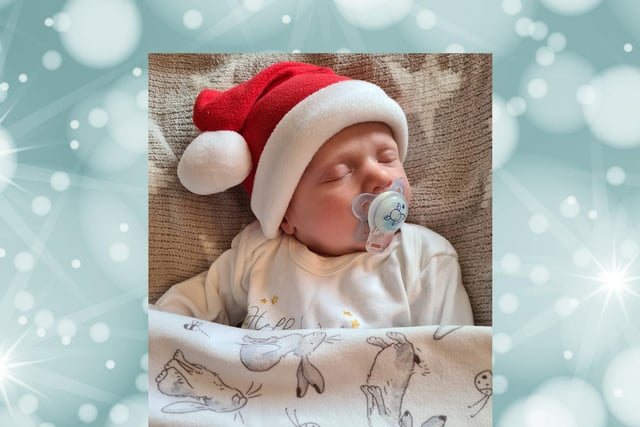 Little Oscar is just nine weeks old. What a gift in time for Christmas!