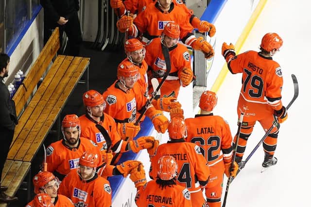Sheffield Steelers bench of 2022-23. Picture by Hayley Roberts