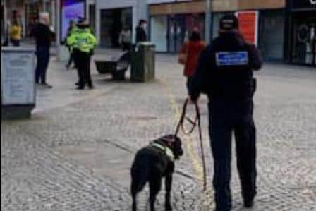 A drug dog was used in Sheffield city centre to find people carrying illegal substances