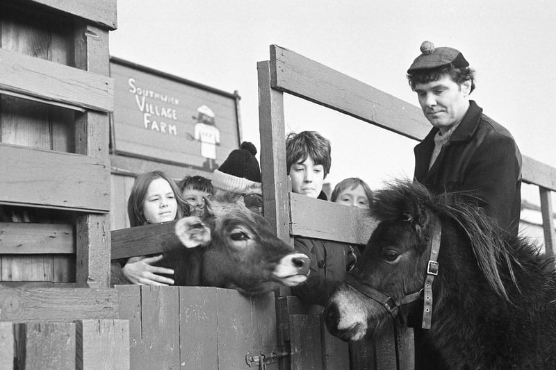Panto star Samson was settling down to life on the farm after his spell in the limelight.  Samson was one of two Shetland ponies who were appearing in the Sunderland Empire pantomime, Cinderella in 1982.