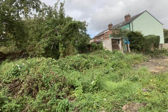 Plans have been resubmitted to turn this patch of land in Woodseats into retirement homes following a battle with Japanese knotweed, developers said.