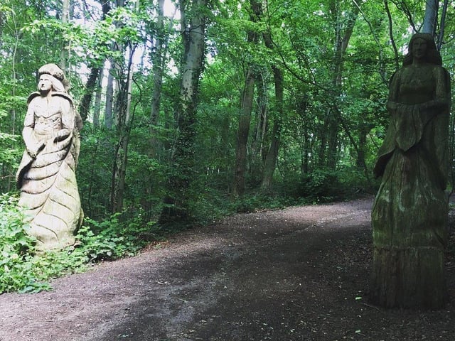 Maintained by Chesterfield Borough Council, Westwood provides a pleasant stroll and is brimming with wildlife to enjoy.
