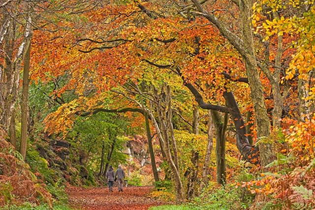 Autumn Colour in Wyming Brook taken by John Scholey