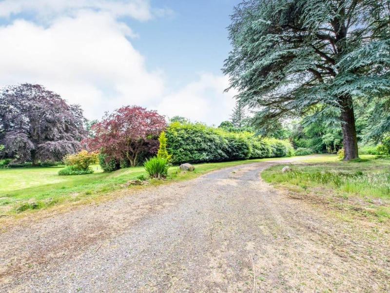 Driveway.